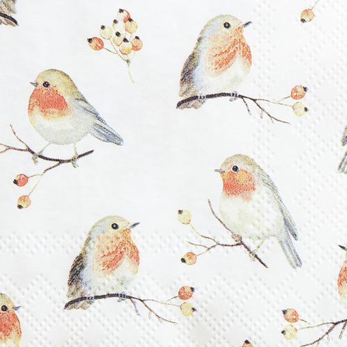 Floristik24 Lautasliinat Autumn Robin Ruusunmarjat 25x25cm 20 kpl