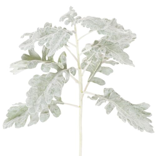 Keinotekoinen Senecio-oksa, hopeanhohtoinen lehti, monimutkaisesti muotoiltu, 45 cm, 3 kpl ostaa | Floristik24.fi