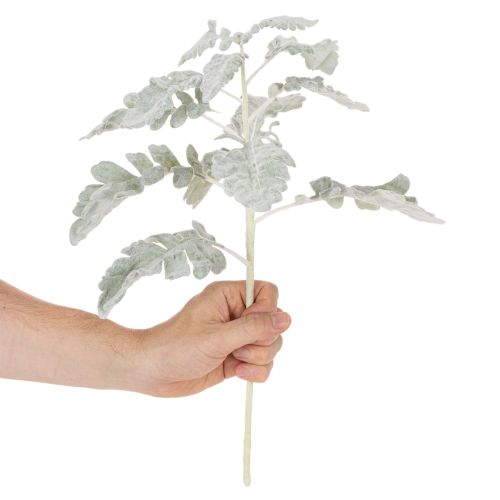 Keinotekoinen Senecio-oksa, hopeanhohtoinen lehti, monimutkaisesti muotoiltu, 45 cm, 3 kpl | Floristik24.fi