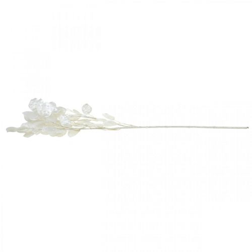 Floristik24 Deco Branch Silver Leaf White Lunaria Branch keinotekoinen oksa 70cm