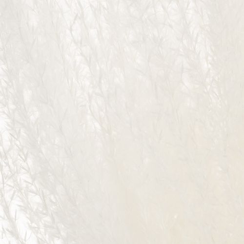 kohteita Kuivattuja kukkia, hopearuohoa. Elegantti luonnonmukainen sisustuselementti kotiin ja toimistoon. 70 cm, 10 kpl.