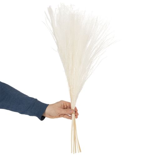 kohteita Kuivattuja kukkia, hopearuohoa. Elegantti luonnonmukainen sisustuselementti kotiin ja toimistoon. 70 cm, 10 kpl.