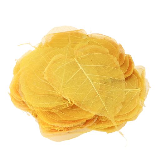 kohteita Luurankoisia Bodhi-lehtiä luoviin koristeluihin