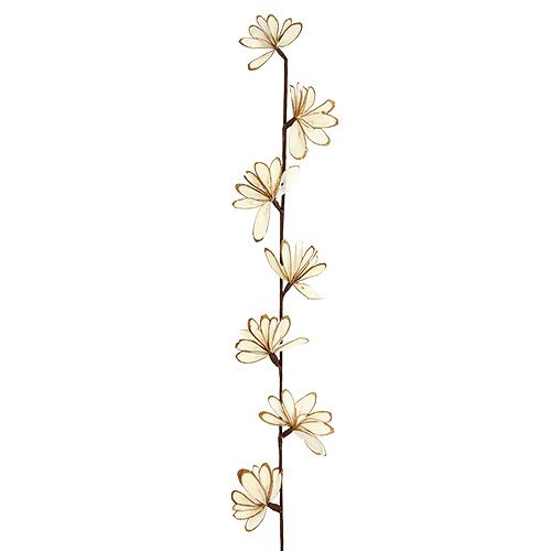 Floristik24 Sola Chips Sunny Stick Ruskea, Valkoinen 6 kpl.