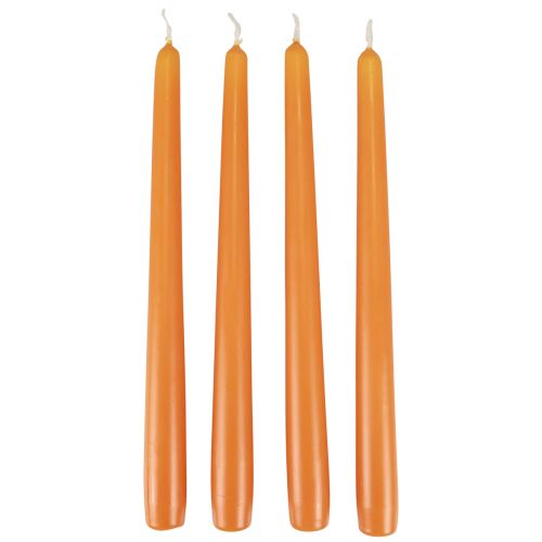 Floristik24 Kapenevat kynttilät, tikkukynttilät, Wenzel-kynttilät, oranssi, 250/23 mm, 12 kpl
