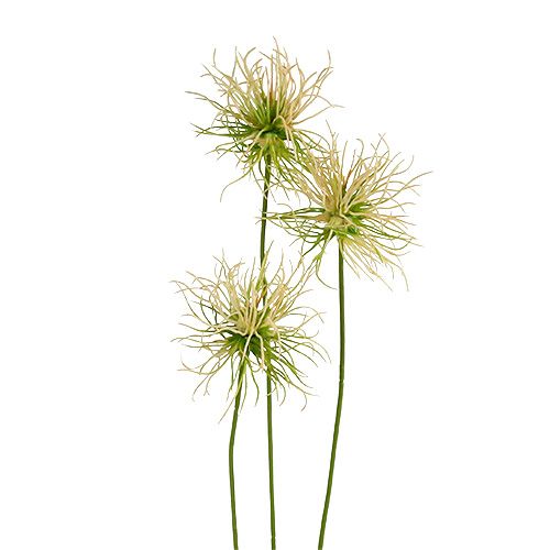 Floristik24 Terävä takiainen oksat kermanvihreä 63cm 4kpl