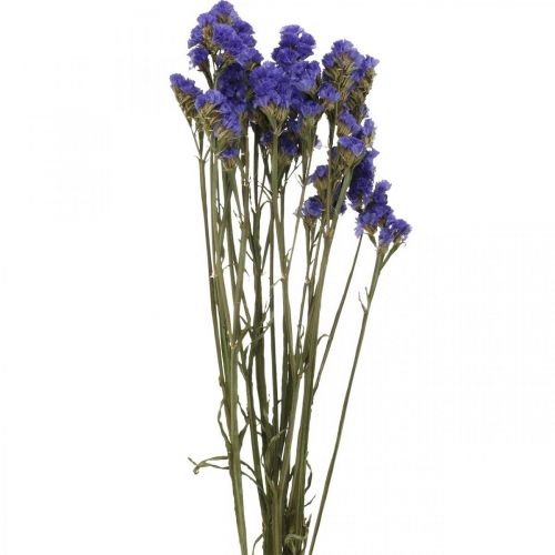 Floristik24 Kimppu merilaventelia, kuivattuja kukkia, merilaventelia, Statice Tatarica Blue L46-57cm 23g