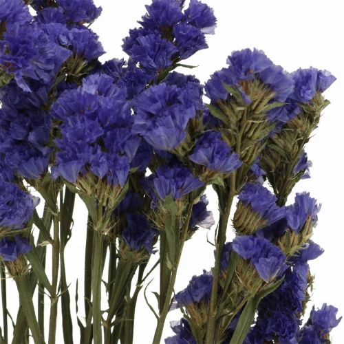 kohteita Kimppu merilaventelia, kuivattuja kukkia, merilaventelia, Statice Tatarica Blue L46-57cm 23g