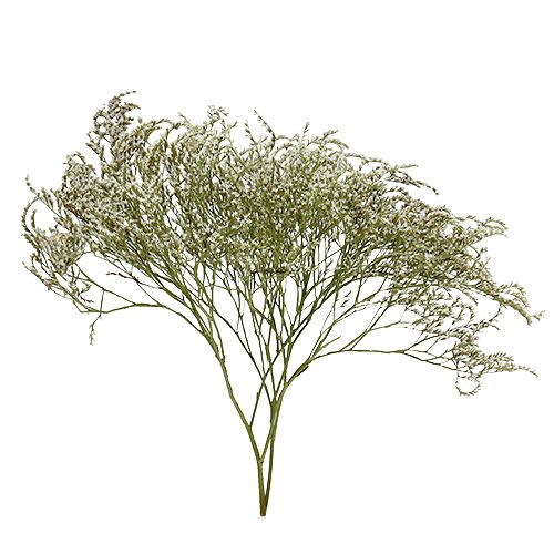 kohteita Sea Lavender Statice Tatarica kuivatut kukat luonto 2kg