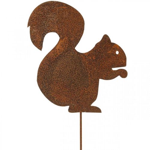 Puutarhatulppa oravapatina koristetulppa 20cm