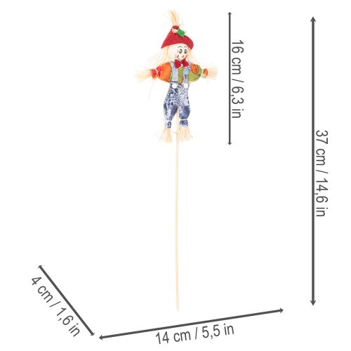 Kukkasetelmien kukkakepit, pelotteet, 37 cm, 6 kpl | Floristik24.fi