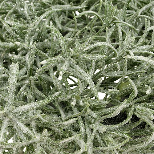 Floristik24 Deco seppele Ø30cm glitterillä vihreä