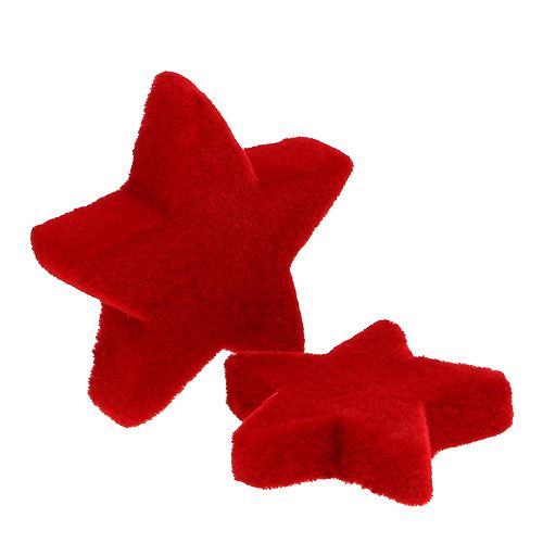 Floristik24 Tähtisekoitus punainen parveni 4-5 cm 40kpl