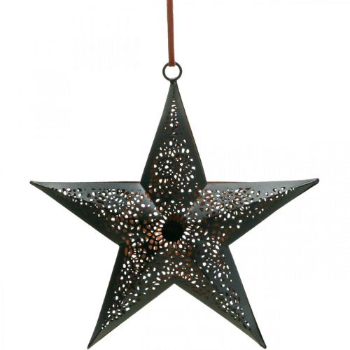 Floristik24 Joulunaulakko Star Metal Star Black K19cm