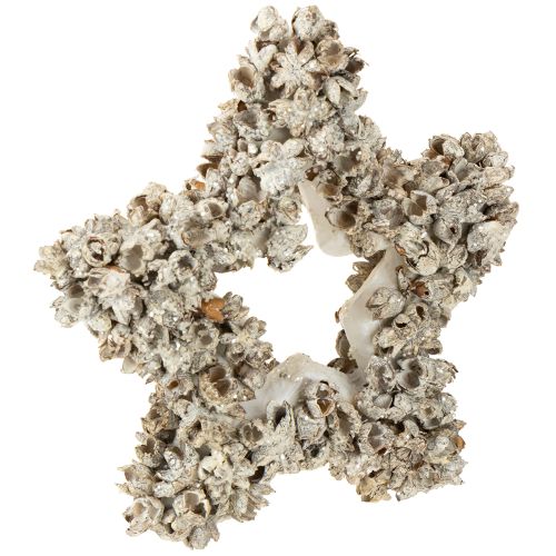 kohteita Tähti ripustettavaksi joulukoristeeksi Valkoinen, Glitter Ø15cm