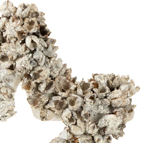 kohteita Tähti ripustettavaksi joulukoristeeksi Valkoinen, Glitter Ø15cm