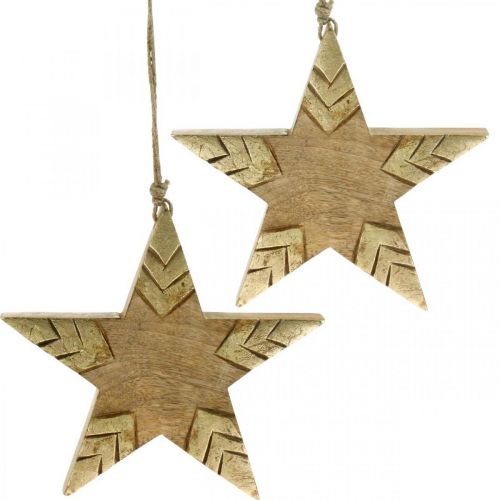 kohteita Tähti Mango Wood Natural, Golden Wooden Star Suuri ripustaa 25cm 2kpl 2kpl