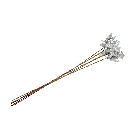 Floristik24 Tähdet kepissä hopea 60cm 5kpl.