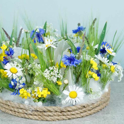 Floristik24 Rantasisustus, capiz-kuoret 5-10cm, luonnonesineitä, helmiäinen, meri 1kg