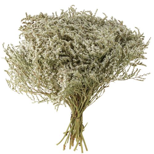 kohteita Merilaventeli, Statice Tatarica, kuivatut kukat, luonnollinen, 2 kg