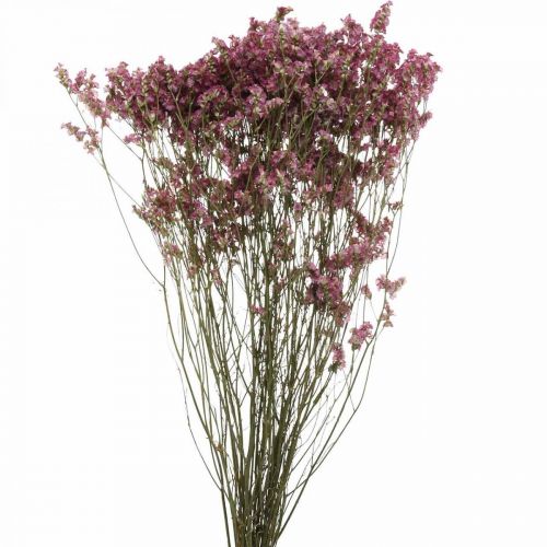 Floristik24 Statice, Meri laventeli, kuivattu kukka, luonnonkukkakimppu vaaleanpunainen L52cm 23g