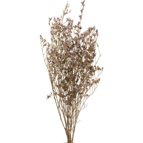 Floristik24 Beach Lilac Limonium Kuivatut kukat Purppura 70cm 50g