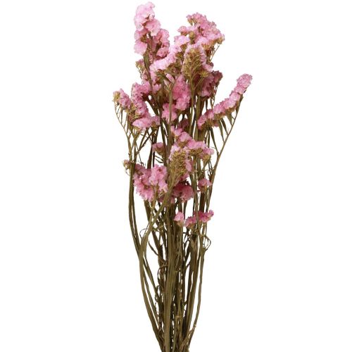 Floristik24 Beach Lilac Pink Limonium Kuivatut kukat 60cm 50g