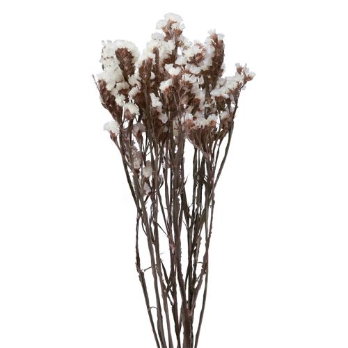 kohteita Beach Lilac White Limonium kuivatut kukat 60cm 35g