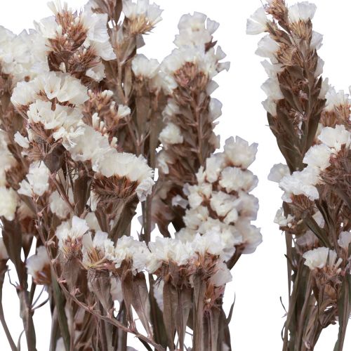 kohteita Beach Lilac White Limonium kuivatut kukat 60cm 35g