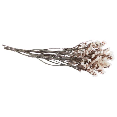 Floristik24 Beach Lilac White Limonium kuivatut kukat 60cm 35g