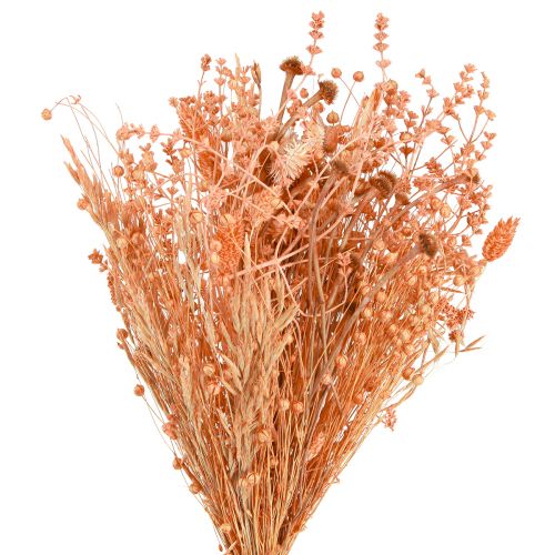 kohteita Kimppu kuivattuja kukkia oranssi aprikoosi kuiva kimppu 45cm 80g