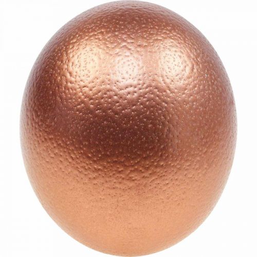 kohteita Strutsinmunan koristelu puhallettu pääsiäiskoristelu kupari Ø12cm K14cm