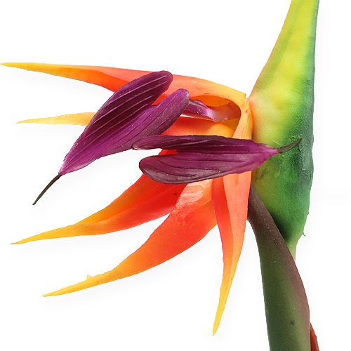 kohteita Strelitzia paratiisilintu kukka 62cm
