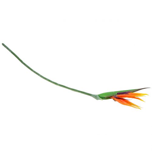 Floristik24 Strelitzia paratiisin lintu 95cm