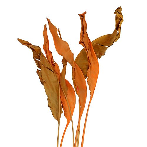 Strelitzia-lehdet oranssit 120cm 20 kpl