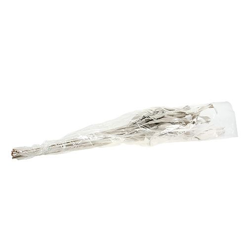 Floristik24 Koristelehdet Strelitzia-lehdet valkoiset pestyinä 120cm 10 kpl