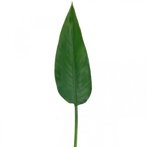 Strelitzia Papukaijan kukka Koristelehti Strelitzia Leaf Green L81cm