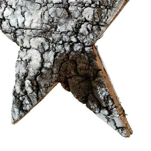 Floristik24 Koivun kuoren tähti iso valkoinen 19cm 4kpl