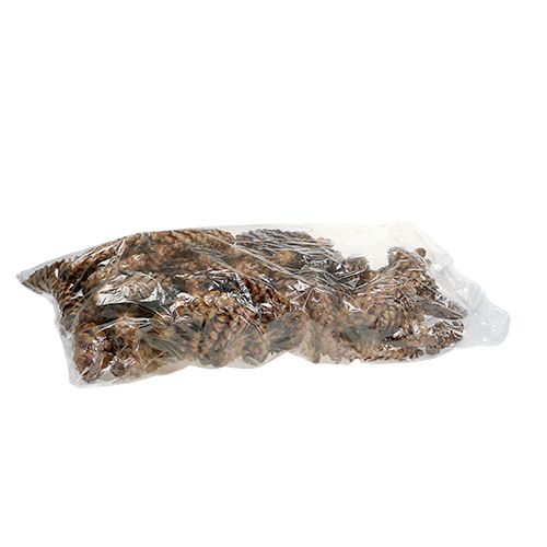 kohteita Strobus kartiot 15 - 20cm maalattu 100 kpl