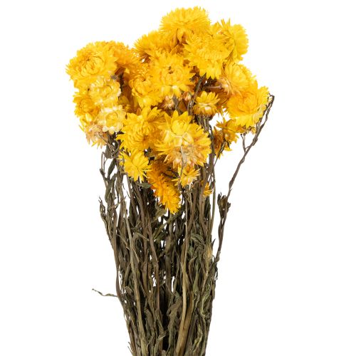 Floristik24 Kuivattua keltaista oljenkorren (Helichrysum) kukkakimppua, 100g