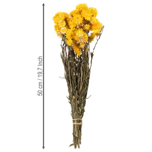 kohteita Kuivattua keltaista oljenkorren (Helichrysum) kukkakimppua, 100g