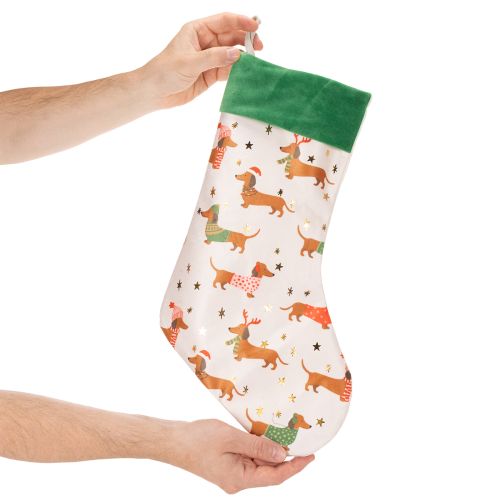 Joulusukka mäyräkoira-aiheella, 50 cm | Floristik24.fi