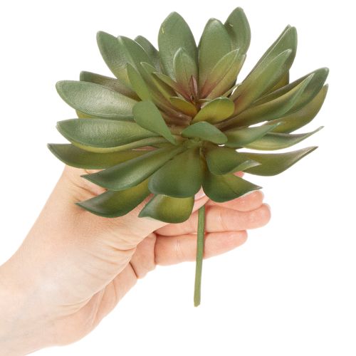 Keinotekoinen mehikasvi koristekasvina, vihreä, 18 cm, 3 kpl | Floristik24.fi