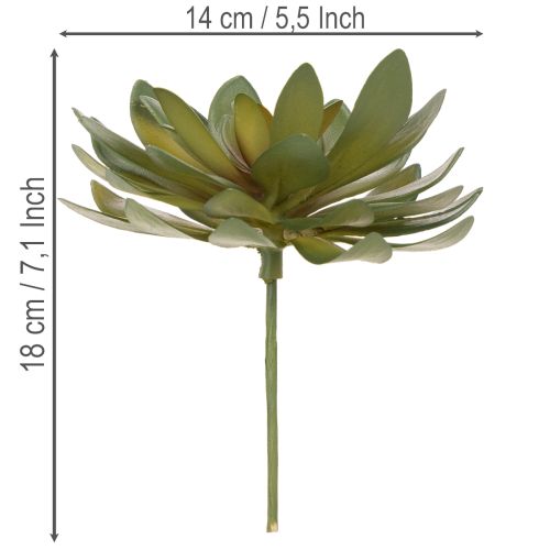 Keinotekoinen mehikasvi koristekasvina, vihreä, 18 cm, 3 kpl | Floristik24.fi