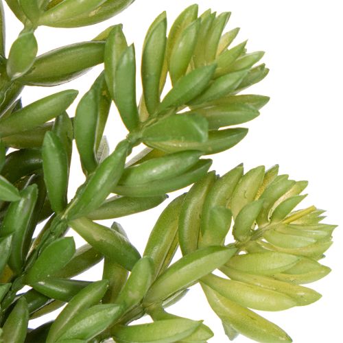 kohteita Keinotekoinen mehikasvi asuin- ja toimistotilojen helppohoitoiseen sisustukseen, 15 cm, 5 kpl