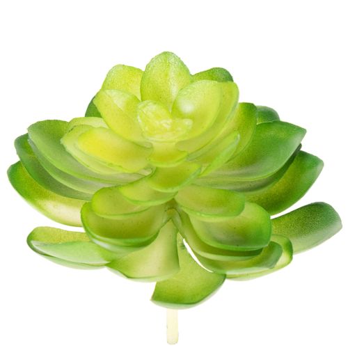 kohteita Keinotekoinen mehikasvi, vihreä, koristeeksi kulhoon tai maljakkoon, 10 cm, 4 kpl