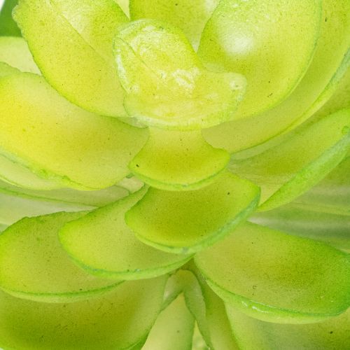 Keinotekoinen mehikasvi, vihreä, koristeeksi kulhoon tai maljakkoon, 10 cm, 4 kpl | Floristik24.fi