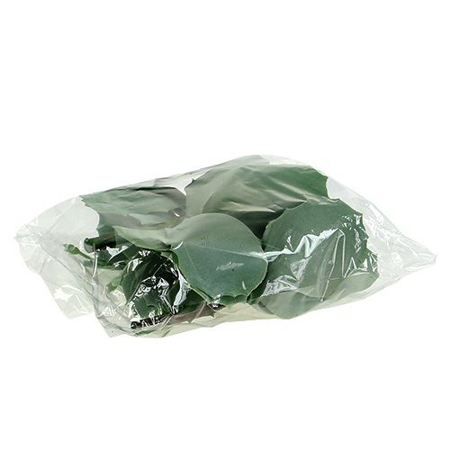 Floristik24 Mehevä kiviruoka L18cm 4kpl