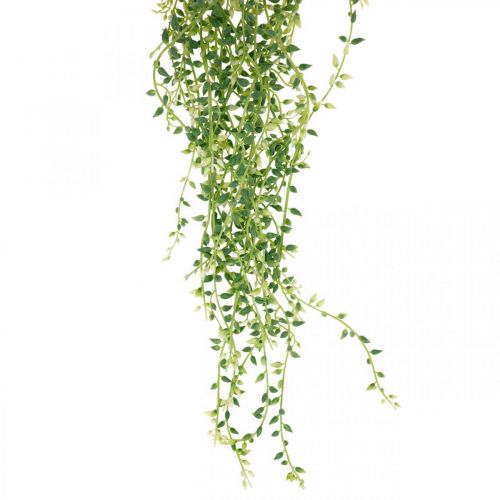 Sukkulentti roikkuu keinotekoinen roikkuva kasvi vihreä 96cm