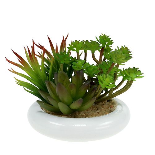 Mehikasvit ruukussa Ø12cm K11cm 1kpl